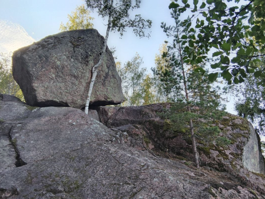 Природа Ленинградской области