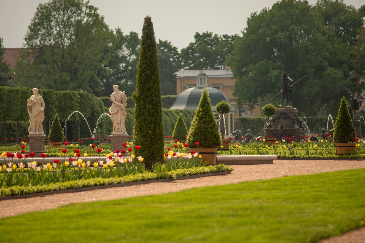 Путешествие в Петергоф