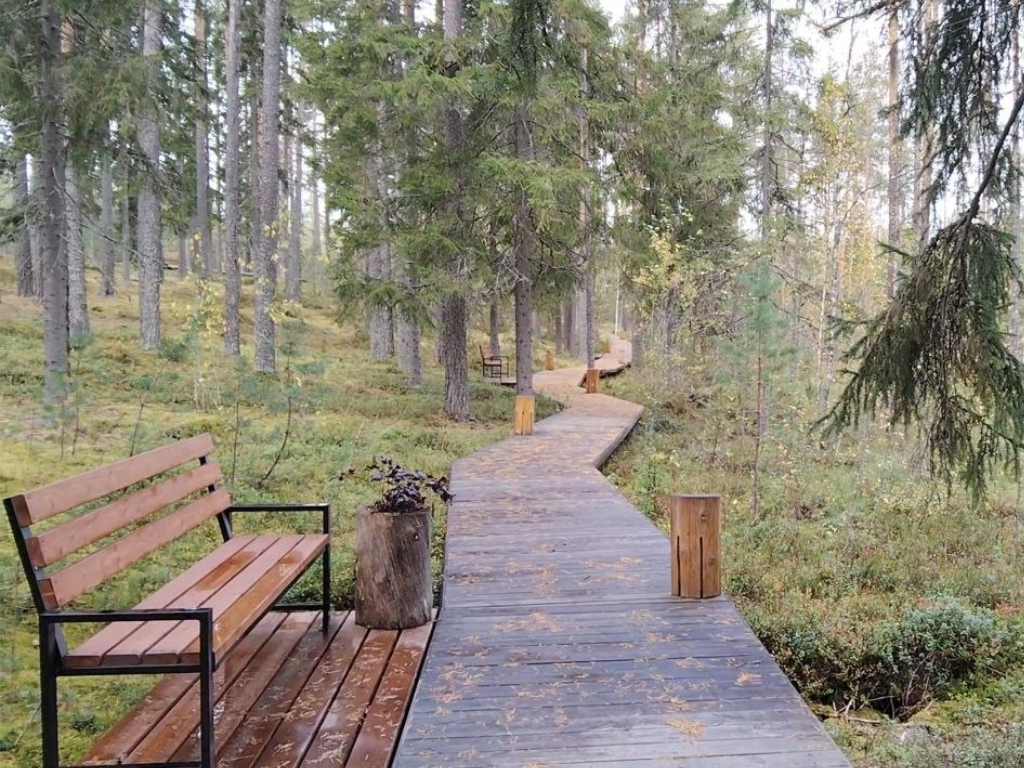 Линия Маннергейма и эко-тропа Ярви: леса и история Карельского перешейка