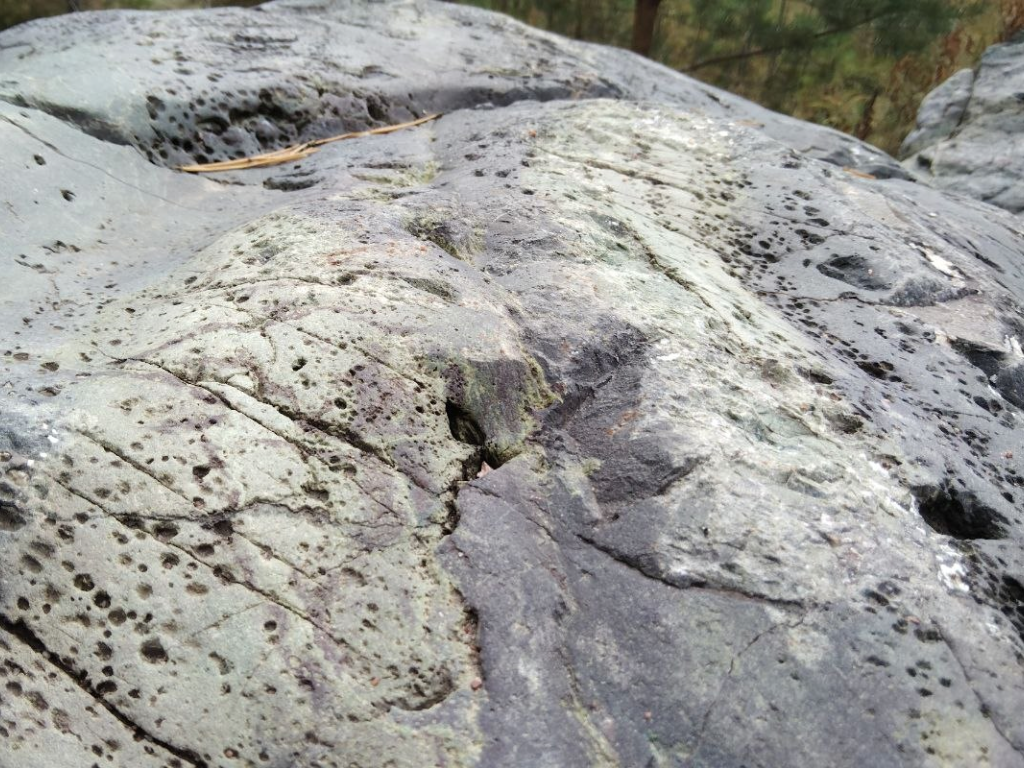 Линия Маннергейма и эко-тропа Ярви: леса и история Карельского перешейка